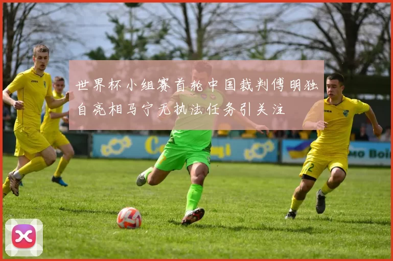 世界杯小组赛首轮中国裁判傅明独自亮相马宁无执法任务引关注