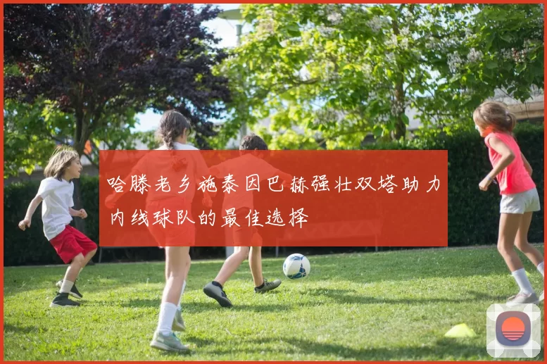 哈滕老乡施泰因巴赫强壮双塔助力内线球队的最佳选择
